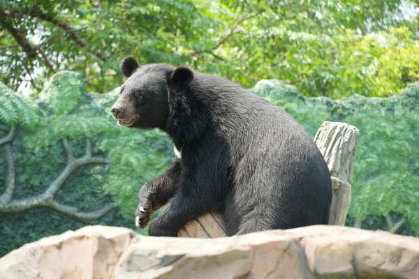 Pouf cuir : guide pour choisir le modèle idéal
